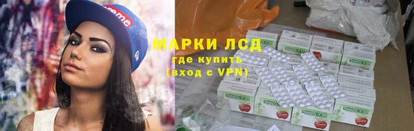 PSILOCYBIN Гусев