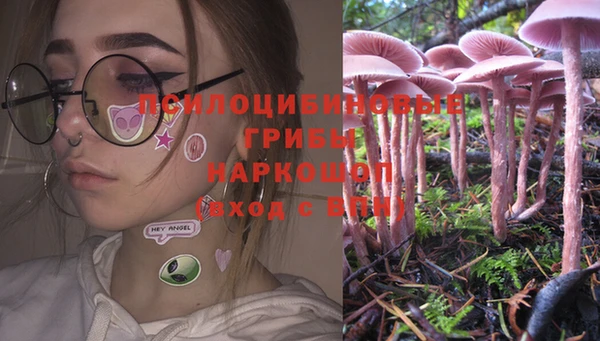 PSILOCYBIN Гусев