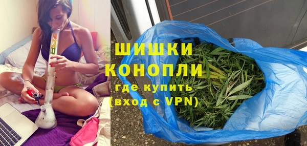 PSILOCYBIN Гусев