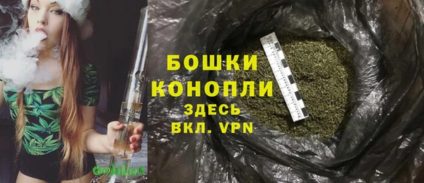 PSILOCYBIN Гусев