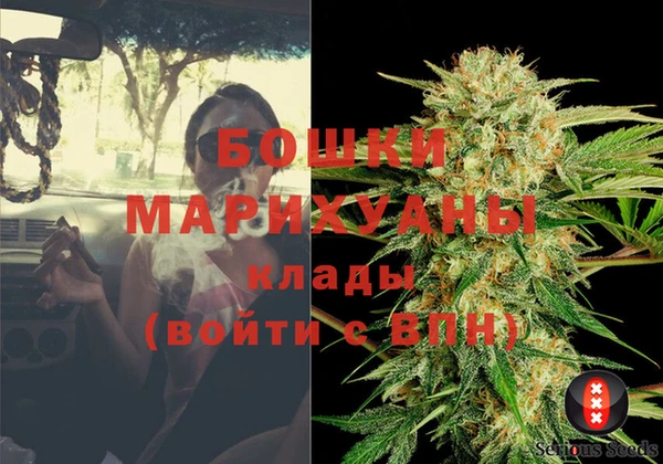 PSILOCYBIN Гусев
