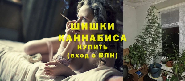 PSILOCYBIN Гусев